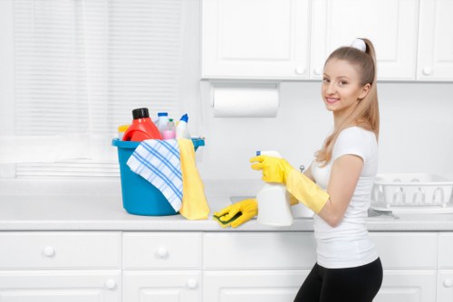 North Ockendon carpet cleaners beginning a professional cleaning service
