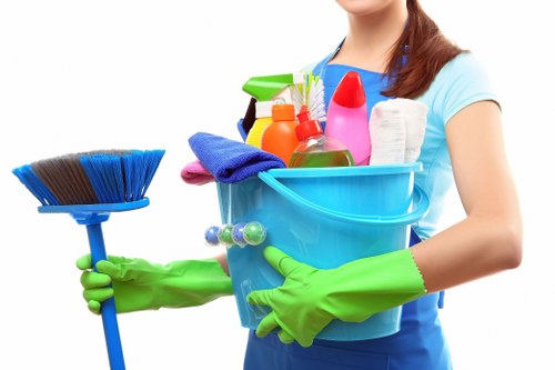 Steam carpet cleaning process in a North Ockendon home