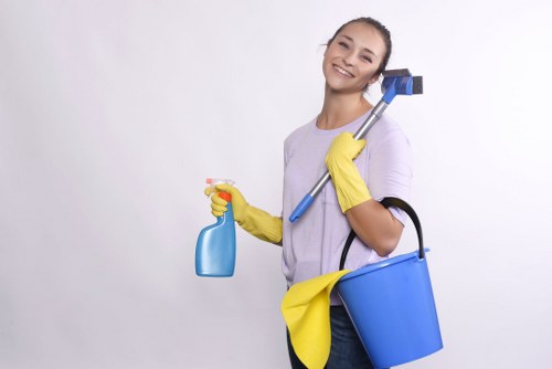 Graphic showing analytics and website performance monitoring for a carpet cleaning website